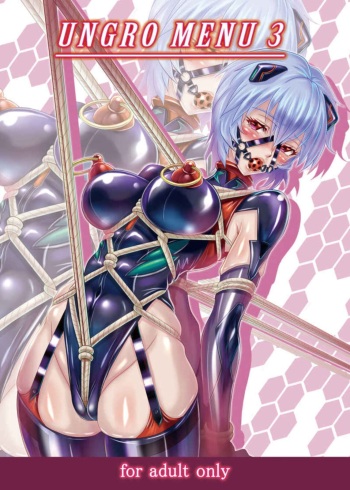 (C100) [Jumelles (Hawkear)] UNGRO MENU 3 (Neon Genesis Evangelion) [Korean] cover