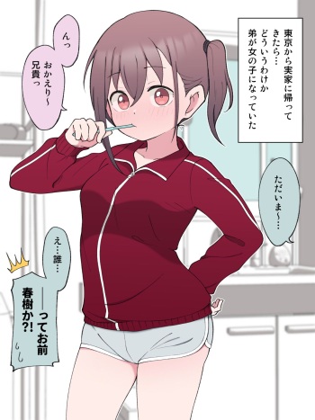 [Tsukigi Kousuke)] A story about finally going to a love hotel with my TS younger brother cover