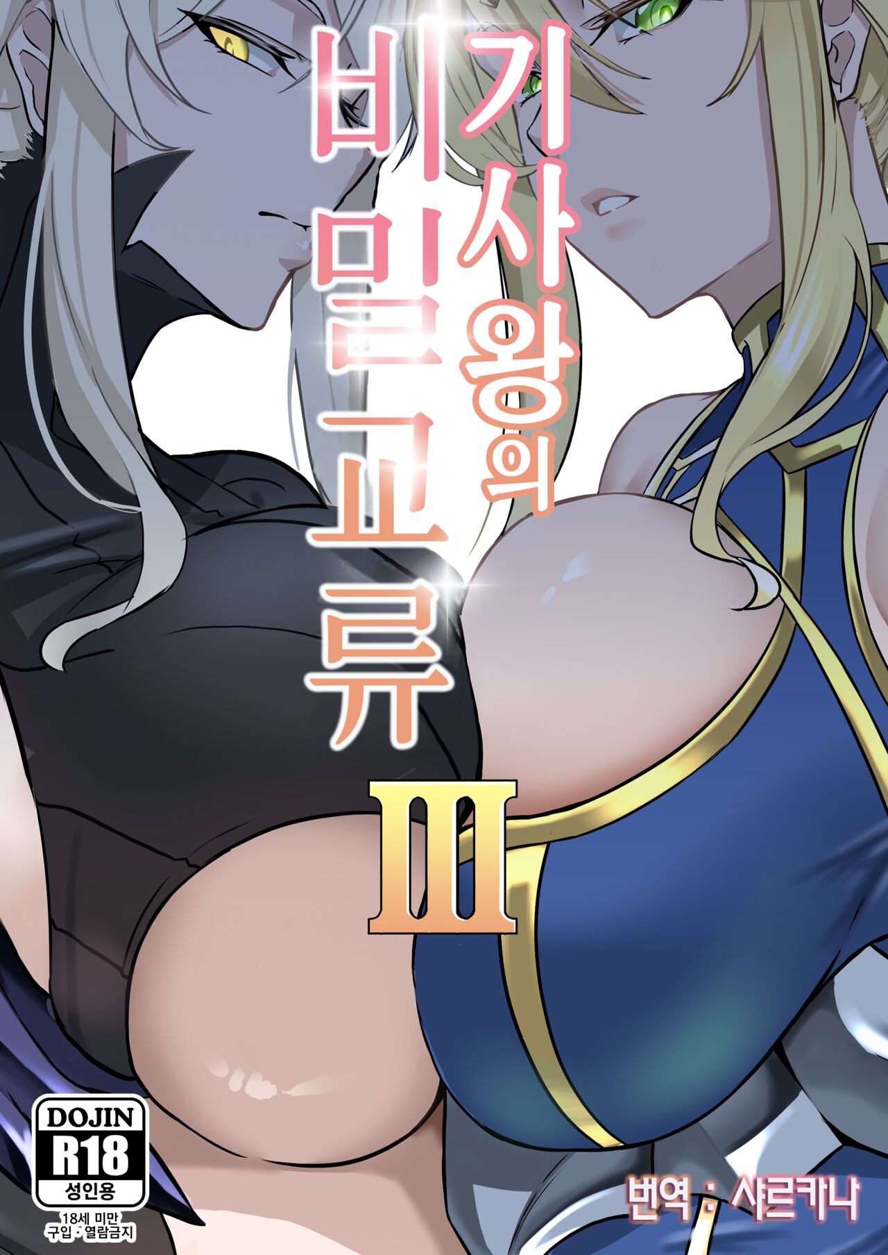 The Secret Communication of the King of Knights Ⅲ | 기사왕의 비밀교류 3 page 1 full