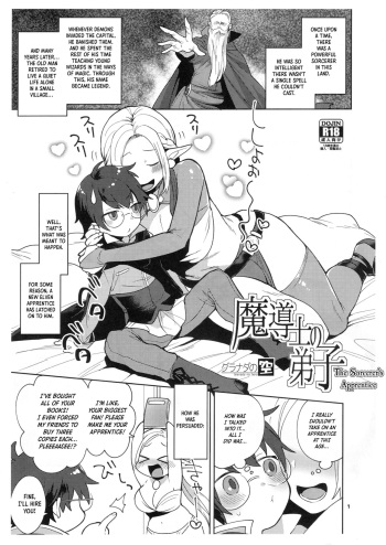 (C95) [Granada Sky (Mogiki Hayami)] The Sorcerer's Apprentice [English] cover