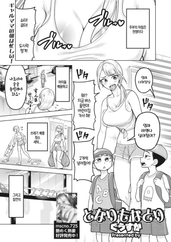 [Guusuka] Tonari mo Natori   (COMIC HOTMiLK Koime Vol. 41) [Korean] [Digital] cover