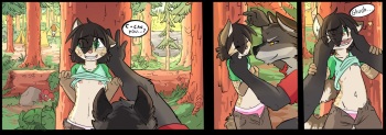 [DomovoiLazaroth] Camping cover