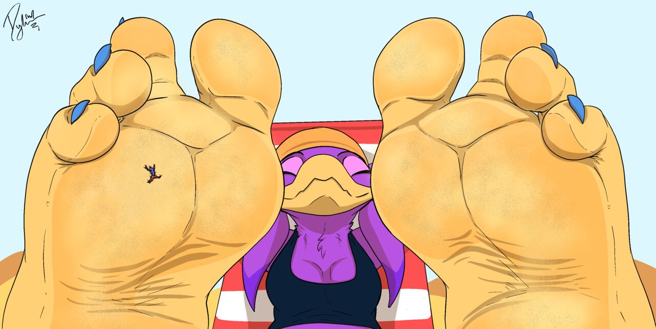 Dylbun Jet the Hawk and Wave the Swallow Arts page 11 full