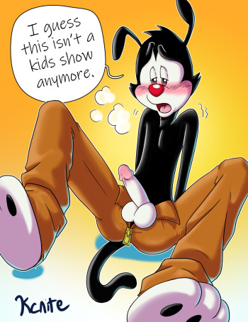 [Kcnite] Yakko Yanks It cover