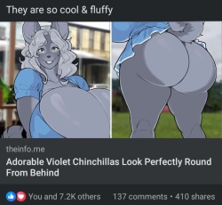 Casloafy / Andrew_White