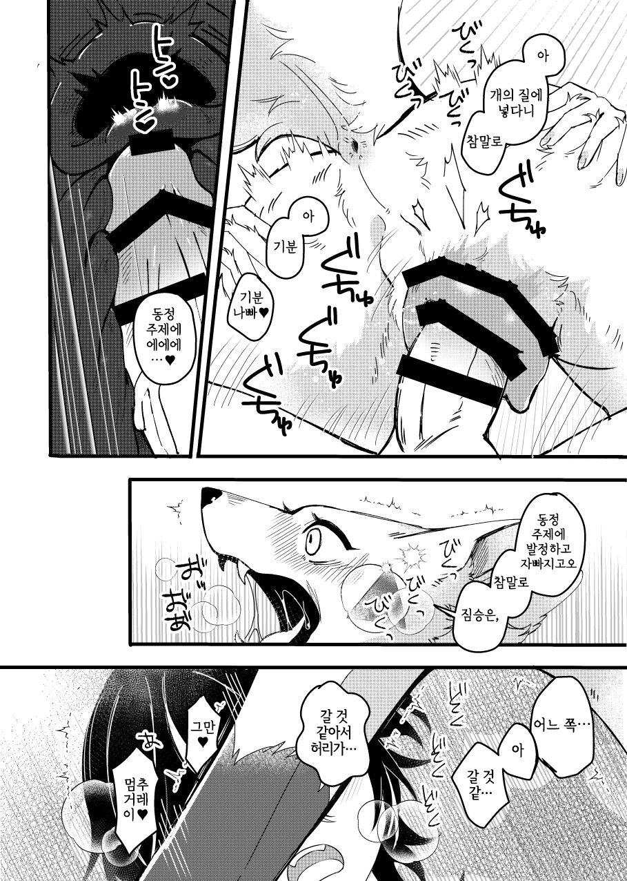 メスガキ謎犬をわからせたい page 11 full