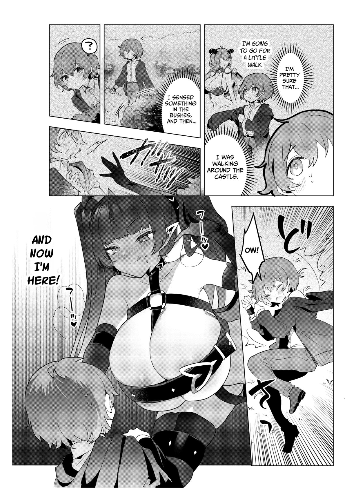 Succubus in Wonderland After! Vol. 1 page 11 full