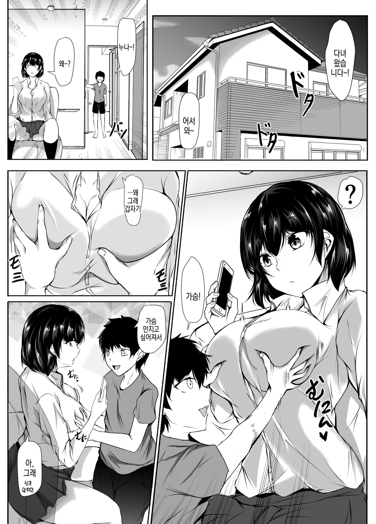 Otouto no Ecchi na Itazura ni Kanyou Sugiru Mukiryoku na Ane | 동생의 야한 장난에 너무나도 자비로운 무기력한 누나 page 3 full