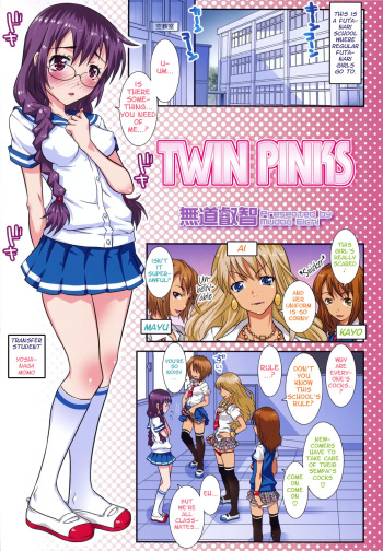 [mdo-h] Twin Pinks (Futanarikko no Sekai 5) [English] [q91] cover