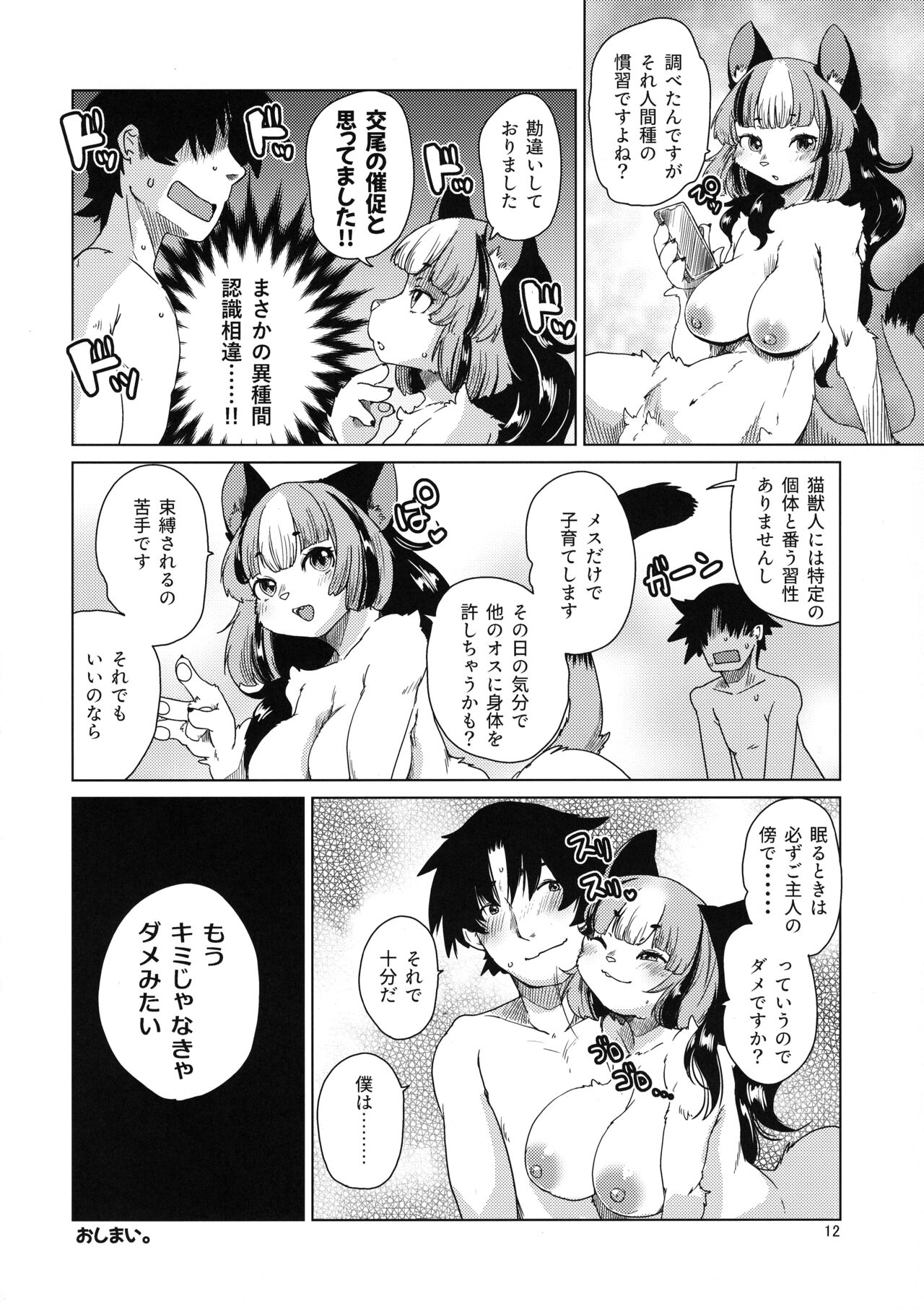 Mou Kimi Janakya Dame mitai page 12 full