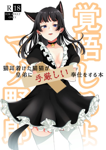 [meteor craft (Salad Nozomi)] Nekomimi chaku keta neko neko ga nou otoni tekibishii houshi wo suru hon (Kusuriya no Hitorigoto) cover