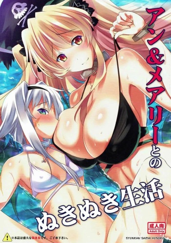 (C92) [Syunkan Saidaihusoku (Pony R)] Anne & Mary to no Nukinuki Seikatsu (Fate/Grand Order)  [Spanish] [Katanaramanofansub] cover