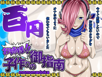 [NEL-ZEL FORMULA] Onee-sama ni Goshinan MOMOMADOKA (One Piece) cover