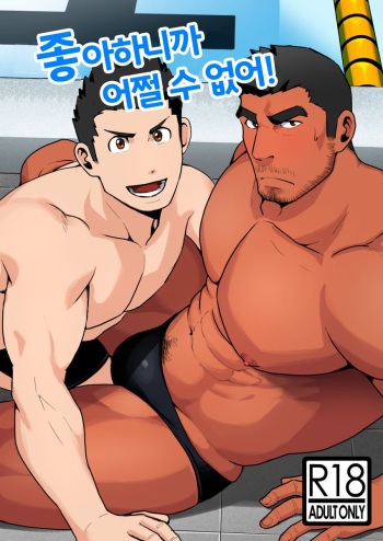 [Higeudon (Sakuramaru)] Suki nan dakara Shou ga Nai | 좋아하니까 어쩔 수 없어 Alt. [Korean] [???] [Digital] cover