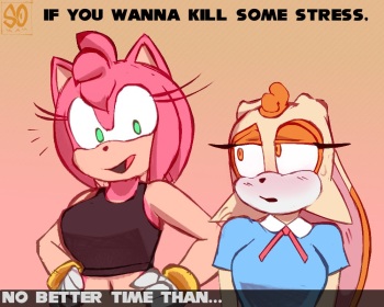 [Souley69] The Run (Sonic the Hedgehog) cover