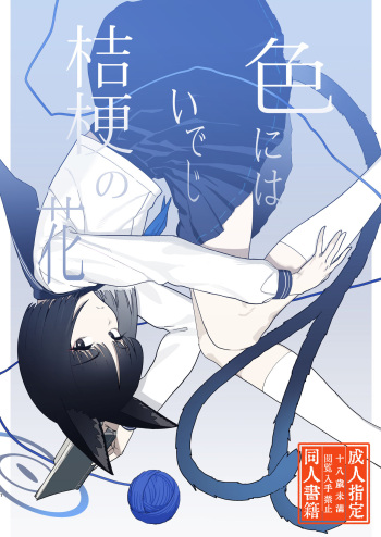 [Yoridori Midori (Akasirokiiro)] Iro ni wa Ideji Kikyou no Hana (Blue Archive) [Digital] cover