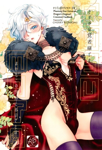 (C104) [CHERRY BLOSSOMS (Yuri)] SASUMATA (Phantasy Star Universe,Dragon's Dogma) cover