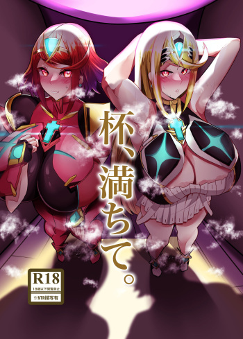 (C103) [Toroki Boshi (hiro.)] Hai, Michite. (Xenoblade Chronicles 2) cover