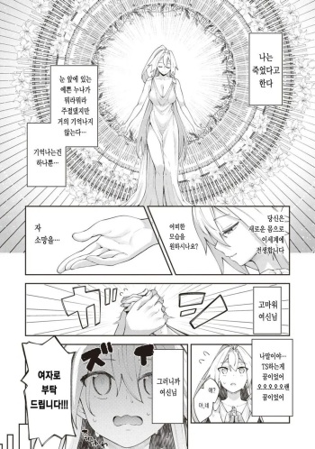 [Akino Sora] Isekai TS Tensei Shita node Sukebe na Koto o Shiyou to Omou | 이세계 차르봄바 (Isekai Skill de Sukebe na Koto o Shiyou to Omou Anthology Comic) [Korean] [Digital] cover