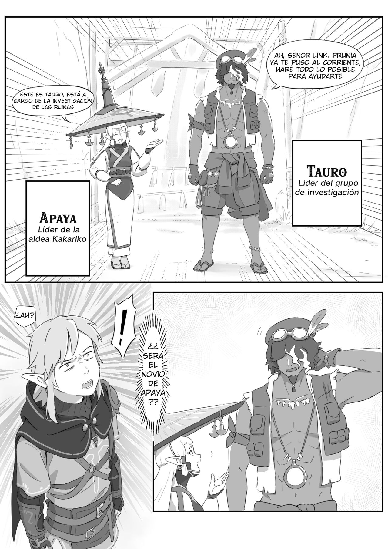 La leyenda del deseo en Hyrule page 5 full