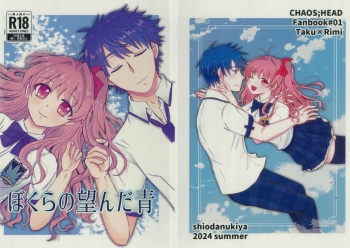 (C104) [Shiotanukiya (Shiotanuki no fuku)] Bokura no Nozonda Ao (Chaos;Head) cover