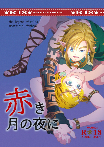 [Meitaro]Shinkan sanpuru akaki tsuki no yoru ni(The Legend of Zelda) cover