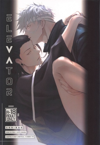 [chimbokumyozaiko] Elevator (jujutukaisen) cover