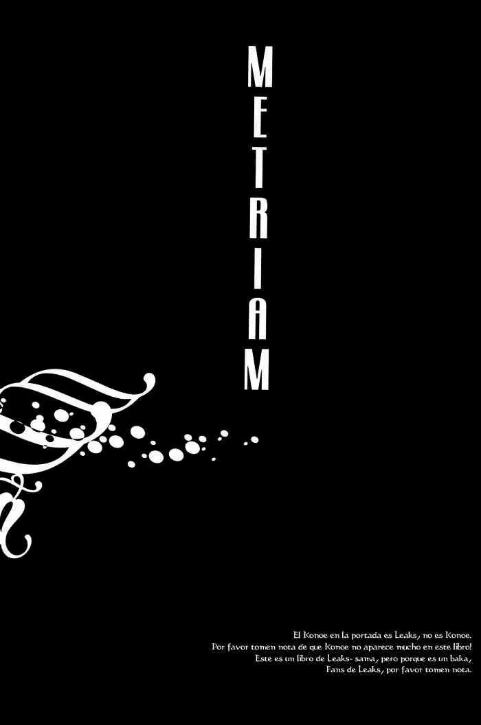 Metriam page 3 full