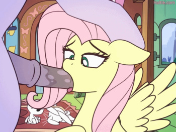 Artist - Haltie (animated gifs) cover