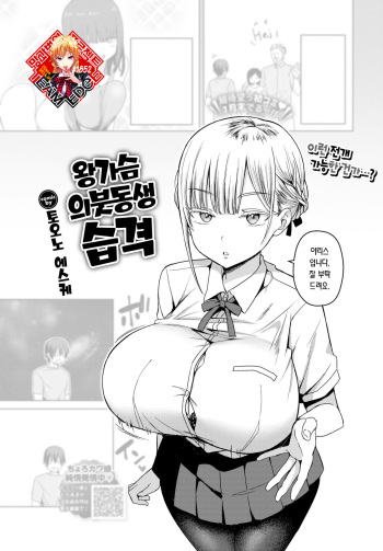 [Toono Esuke] Dekapai Gimai, Syuurai | 왕가슴 의붓동생 습격 (COMIC BAVEL 2024-11) [Korean] [Team Edge] [Digital] cover