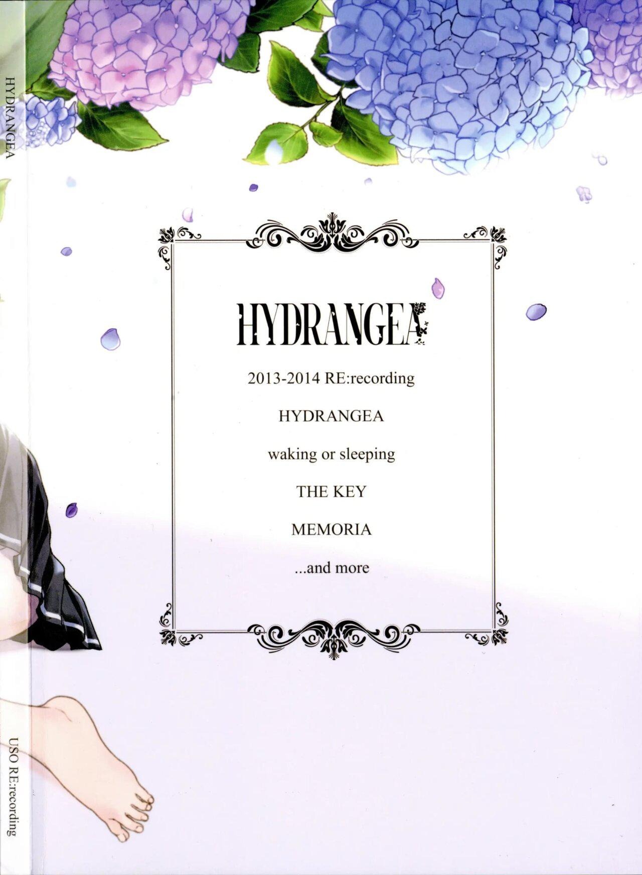 HYDRANGEA page 2 full