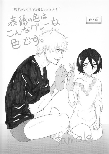 [Rui)]1/ 11 CC Ōsaka 100 shinkan kokuchi& tsūhan kokuchi[Bleach) cover