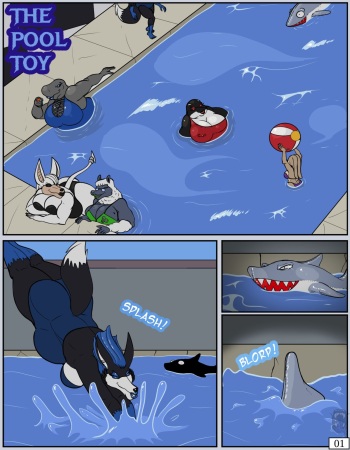 [VDBlackclaw (DarkArtistKaiser)] The Pool Toy cover