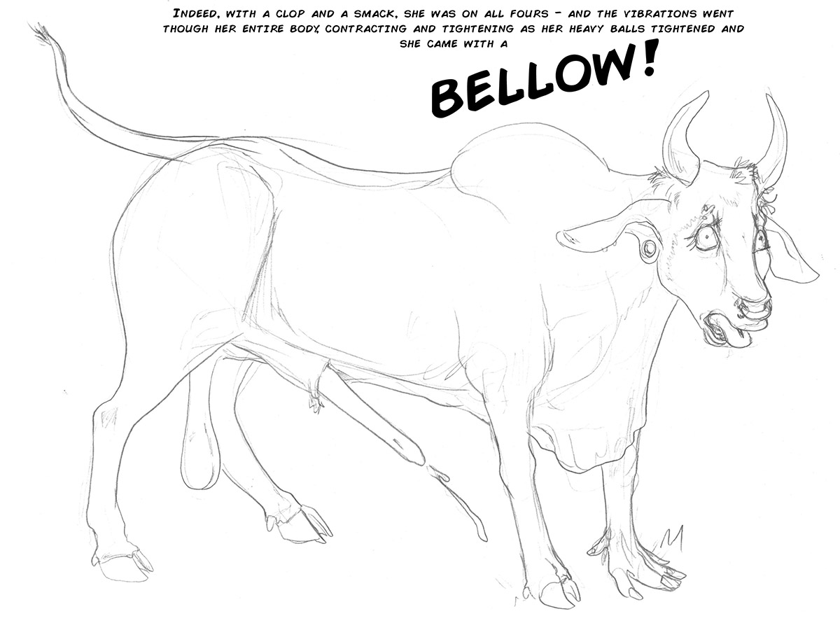 Bull Nosering page 11 full
