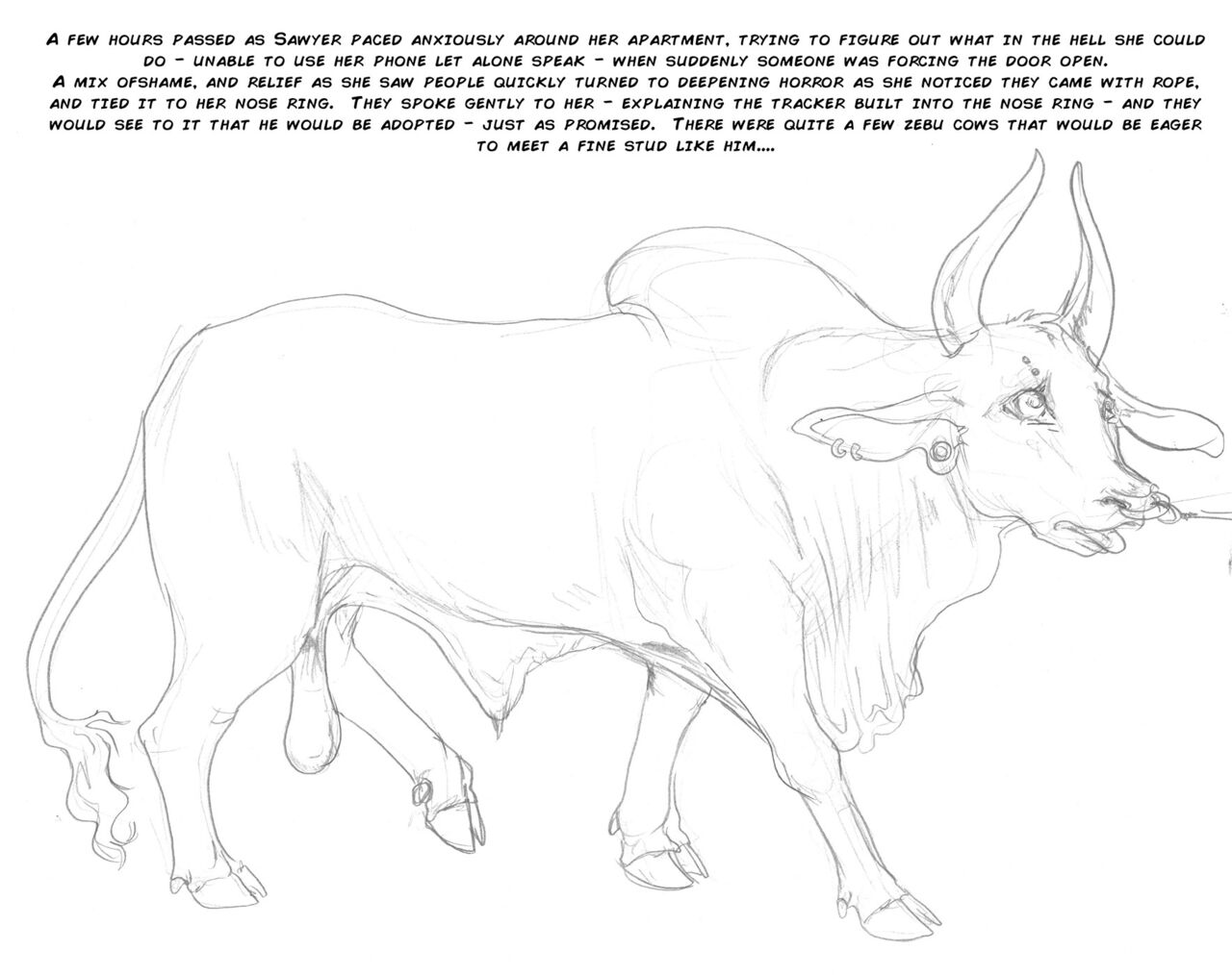 Bull Nosering page 12 full