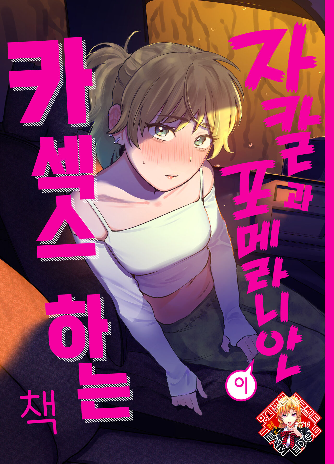 Jackal to Pomeranian no Car Sex Suru Hon | 자칼과 포메라니안이 카섹스하는 책 page 1 full