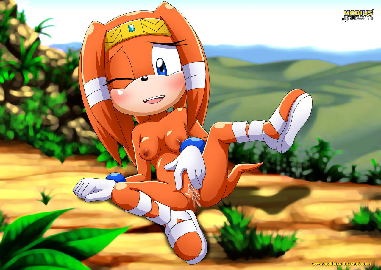 Mobius Unleashed: Tikal the Echidna page 12 full