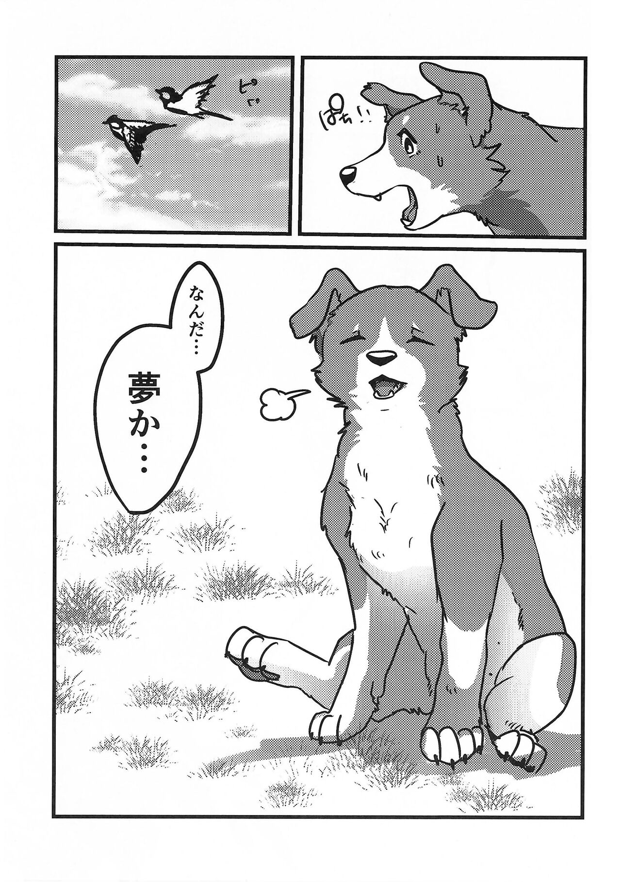 DOG.IN.CAGE The best in corn page 10 full