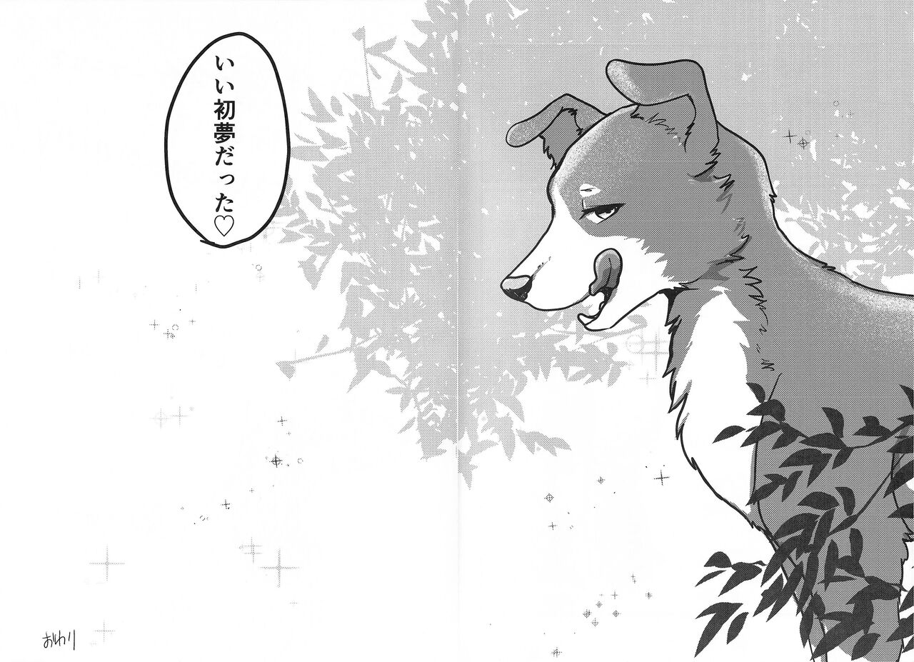 DOG.IN.CAGE The best in corn page 11 full