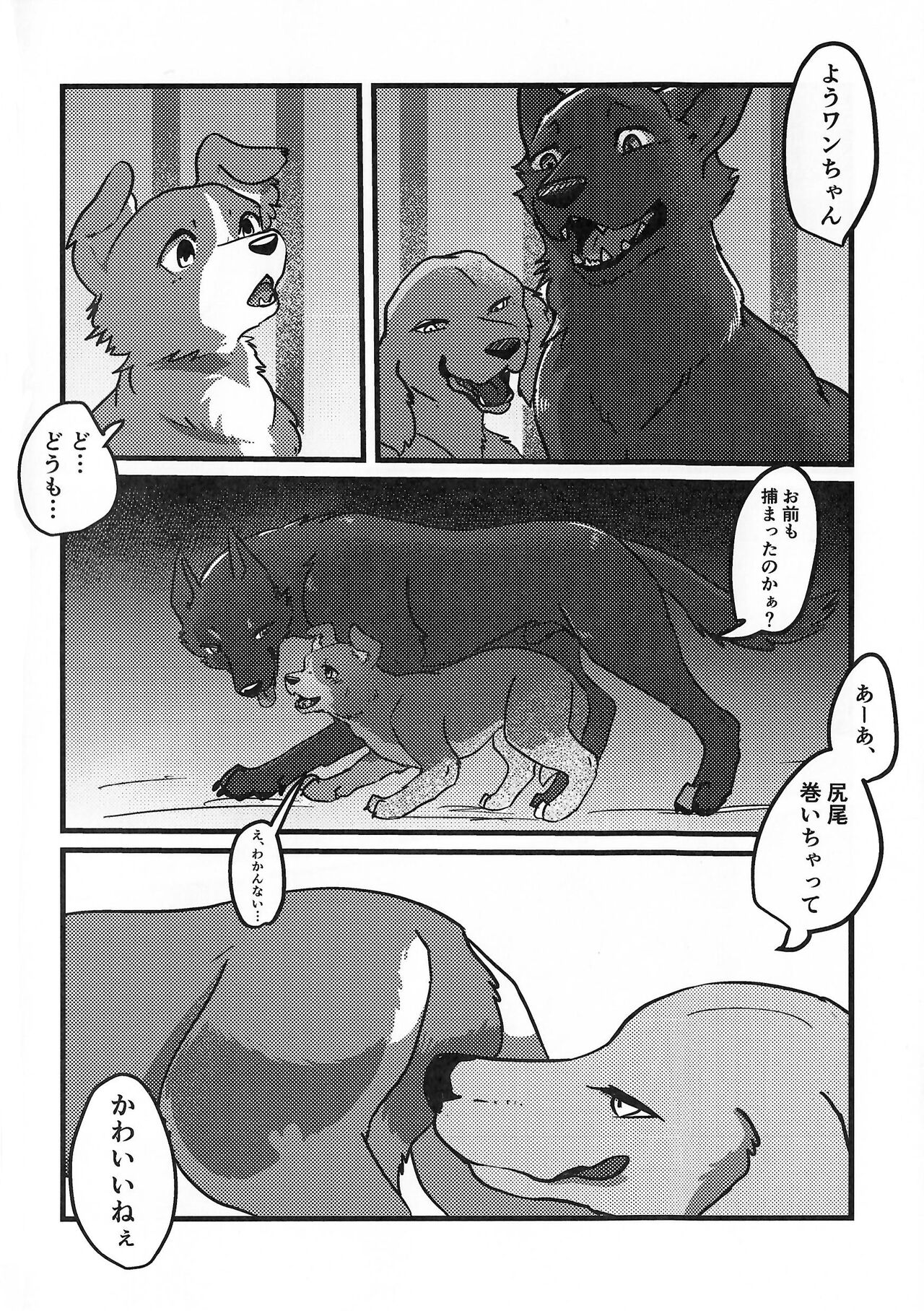 DOG.IN.CAGE The best in corn page 3 full