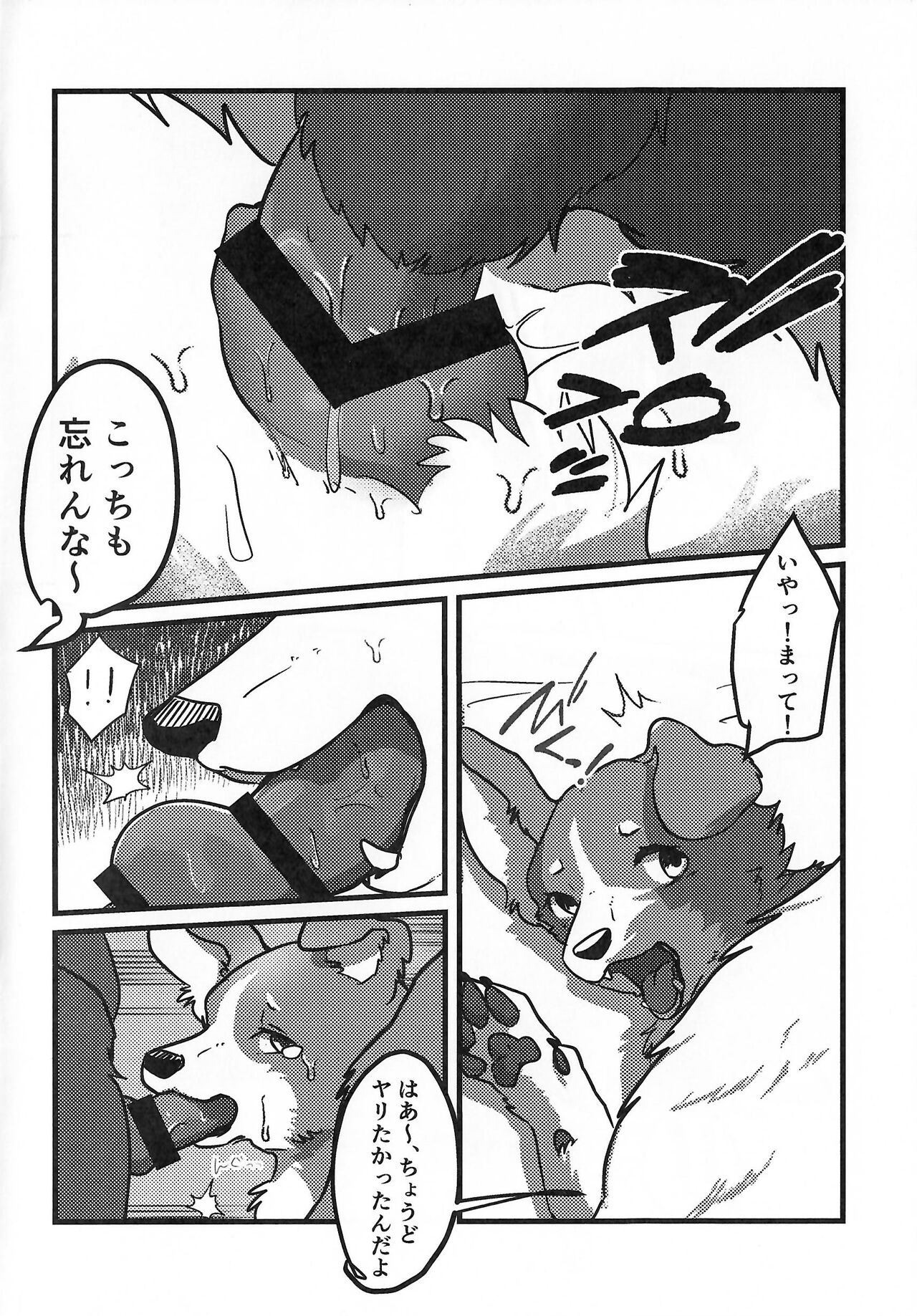 DOG.IN.CAGE The best in corn page 5 full