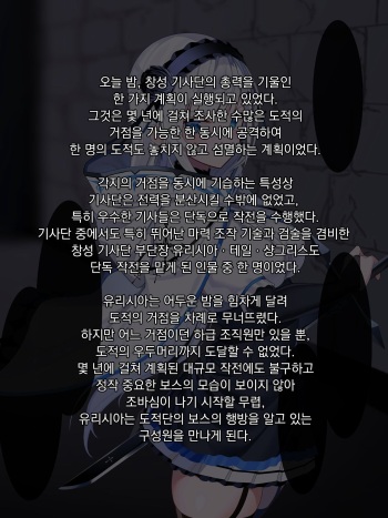 [Nichita] 24년02월 야앵기담 창성기사단 유리시아 도적단 패배 01편 cover