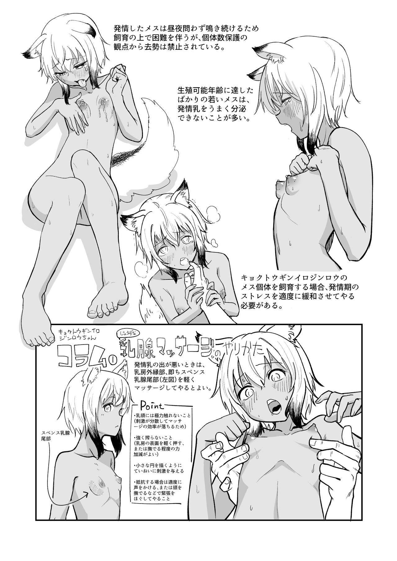 Zukai Kyokutou Giniro Jinrou-chan no Kaikata Handbook Hatsujouki no Osewa Hen page 6 full