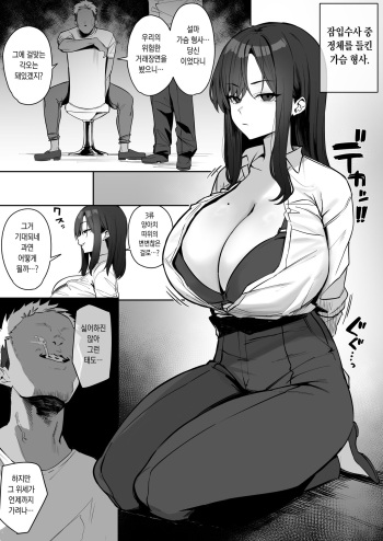 [Hotate-chan] Oppai Deka 3 [Korean] cover