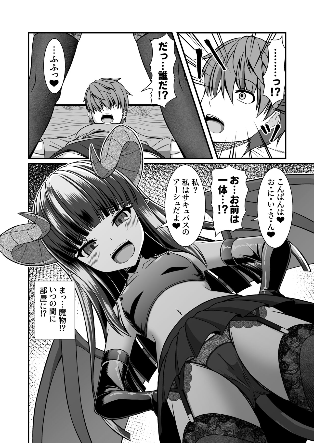Succubus no Seidorei  ni Sarechaimashita Daiissho page 12 full