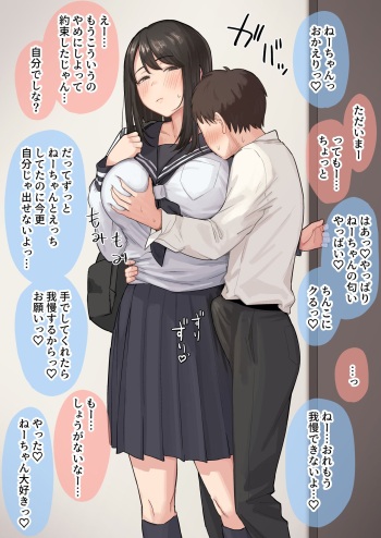 [Natsuzo] Seiyoku ga Sugoi Otouto no Onegai o Kotowarenai Onee-chan no Hanashi cover