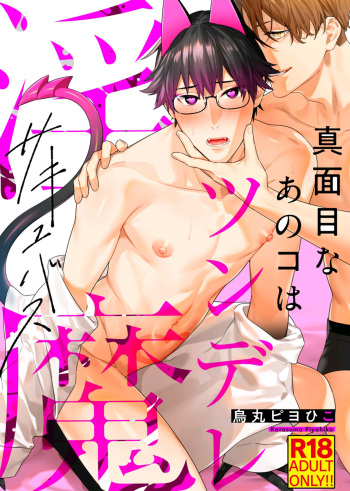[Karasuma Piyohiko] Majime na Anoko wa Tsundere Inma [Digital] cover
