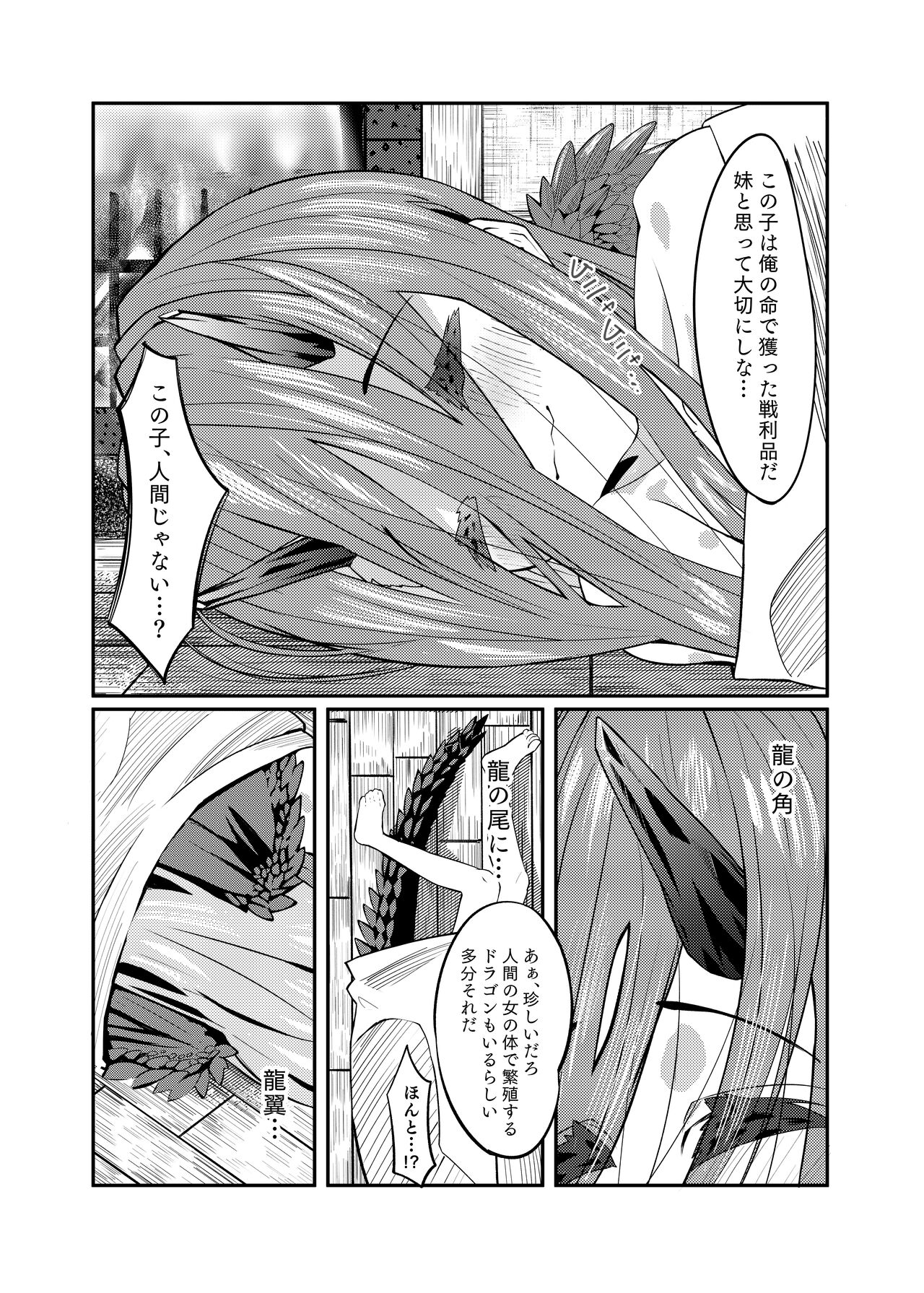 ドラッ娘chanとけもみみショタkun本―運命の?出会い編― page 12 full
