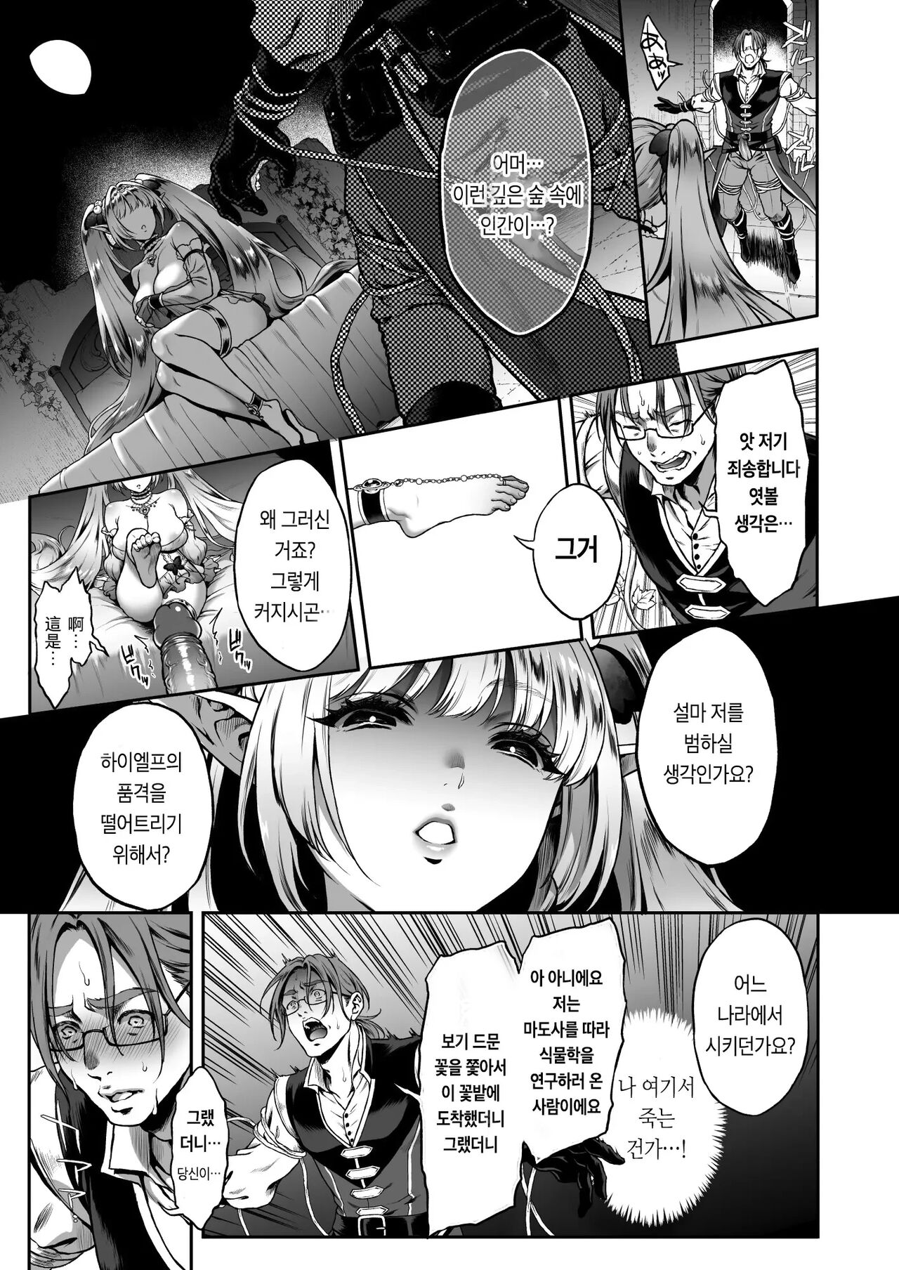 Yuukyuu no Shou Elf 3 "Mugen" Zenpen | 유구의 창엘프3 「몽환」전편 page 12 full