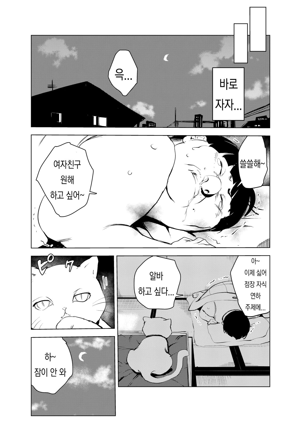 Neko no Ongaeshi | 고양이의 은혜 갚기 page 12 full